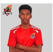 اللاعب يزيد بافيل